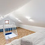Letnia Daire Krynica Morska